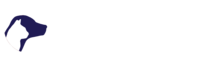 Dermatology for Animals